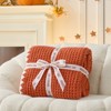 Snuggle Sac Reversible Waffle Knit Throw Blanket Cozy Microfiber Throw - 2 of 4