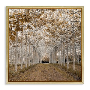 Stupell Industries White Gold Birch Grove Floating Frame Canvas Art - 1 of 4