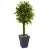 Nearly Natural 5-ft Braided Ficus Artificial Tree in Slate Planter UV Resistant (Indoor/Outdoor) - 2 of 4