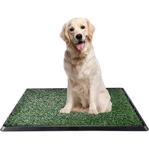 Dog grass hotsell potty box