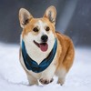 Unique Bargains Dog Cat Warm Vest Plaid Polar Fleece for Winter and Autumn - 3 of 4