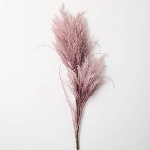 Sullivans Artificial Dried Reed Stem 48"H - 1 of 4