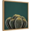 Amanti Art Cactus I by Andre Eichman Canvas Wall Art Print Framed 16 x 16-in. - 3 of 4
