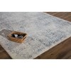 Rugs America Windsor Oriental Transitional Area Rug - 3 of 4