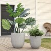 LuxenHome 2-Piece Tapered Round Plastic Planters Set, Mediterranean Gray - 3 of 4