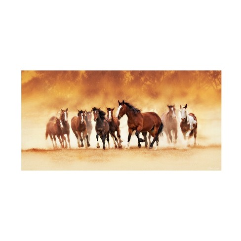 Trademark Fine Art - David Drost  Running Wild Canvas Art - image 1 of 4