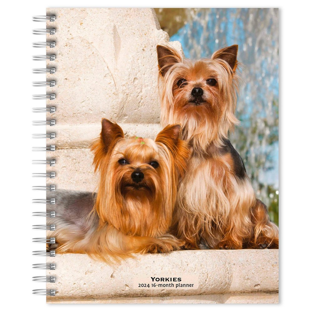 Photos - Other interior and decor Browntrout 23- Weekly/Monthly Planner 7.5"x7.125" Yorkshire Terriers 2024