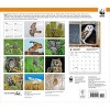 BrownTrout 2025 Wall Calendar 12"x14" Owls WWF - image 2 of 4