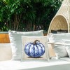 Stupell Industries Botanical Patterned Pumpkin Rustic Plank Design - 2 of 3