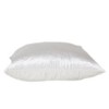 Parkland Collection,Akari Transitional Throw Pillow - 2 of 4