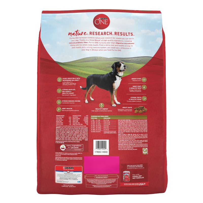 Purina ONE SmartBlend Natural Dry Dog Food with Rice and Lamb, 4 of 8
