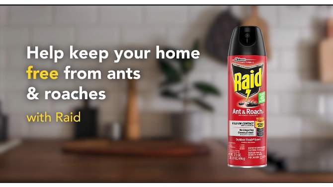 Raid Ant & Roach Killer Fragrance Free, 2 of 13, play video