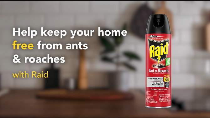 Raid Ant & Roach Killer Fragrance Free, 2 of 13, play video