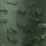 green - paragon design