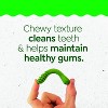 Greenies Puppy Regular Chewy Dental Dog Treats Original Chicken - 12oz - 4 of 4