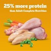Pedigree High Protein Chicken & Turkey Flavor Adult Complete & Balanced Dry Dog Food - 18lbs - 4 of 4