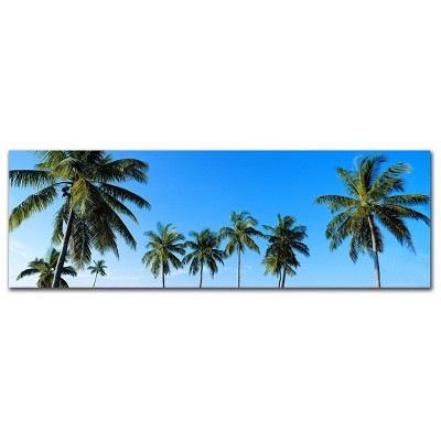 8x" 2 4" Palms by Preston - Trademark Fine Art