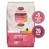 Nutrish Gentle Digestion with Real Salmon, Veggies & Brown Rice Dry Dog Food - 2 of 4