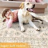 Acekool 4x6 Washable Area Rug, Non-Slip, Stain Resistant Soft Carpet for Living Room, Bedroom, Kids & Pets (Beige) - 3 of 4