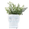 Sagebrook Home Ceramic Skull Vase - Contemporary Decorative Skull Vase for Succulents or Small Plants - Indoor or Outdoor Skull Vase - 3 of 4