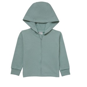 Hanes Pure Comfort Baby Lightweight French Terry Full-Zip Hoodie, Organic Cotton, Boys & Girls - 1 of 3