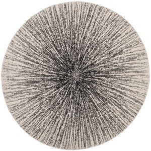 Evoke EVK228 Power Loomed Indoor Rugs - Safavieh - 1 of 3
