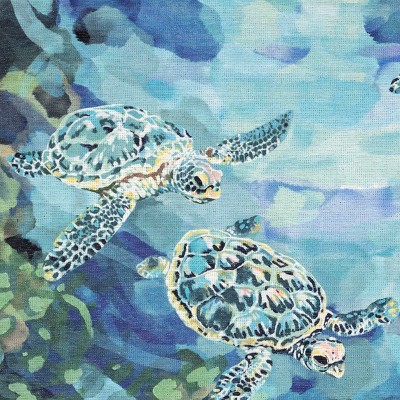 seaturtles ocean