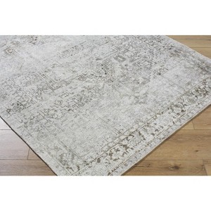 Hauteloom Clodia Living Room, Bedroom Area Rug - Traditional, Transitional - 1 of 4