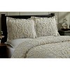 Twin Eden Comforter 100% Cotton Tufted Chenille Comforter Set Gray/Ivory - Better Trends - 2 of 4