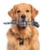 Unique Bargains Knots Shape Dog Chew Rope Rose Blue Yellow 1 Pc - 4 of 4