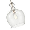 Millennium Lighting Corra 1 - Light Pendant in  Brushed Nickel - 4 of 4