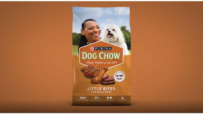 Purina Dog Chow Little Bites with Real Chicken &#38; Beef Small Dog Complete &#38; Balanced Dry Dog Food - 16.5lbs, 2 of 5, play video