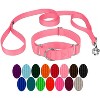 Country Brook Design Martingale Heavyduty Nylon Dog Collar and Double Handle Leash - 4 of 4