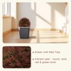 poetree 24" Faux Cypress,Fall Artificial Topiary Ball Tree with Ground Spike Faux Plant for Indoor & Outdoor,2 Pack - 2 of 4