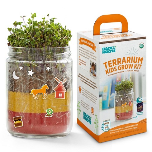 Back To The Roots Organic Terrarium Kids Grow Kit : Target
