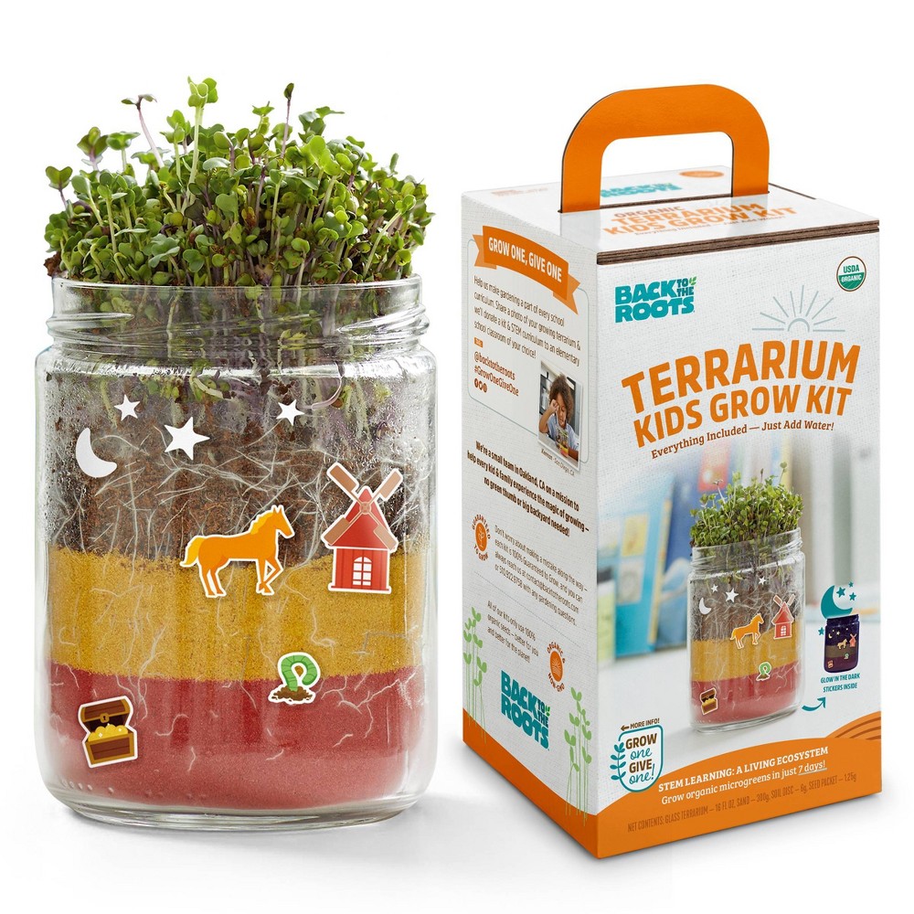 Photos - Garden & Outdoor Decoration Back to the Roots Organic Terrarium Kids Grow Kit