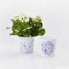 Floral Garden Starter Kit with Tools, Pots & Accessories – Blueish-Purple Flower Design, 5.5" Dia. - 2 of 4