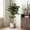 LuxenHome Set of 2 Concrete Round Planters Outdoor Indoor Plant Pots Rustic Wood Grain Texture Tapered Planter Garden Pots Set 15.5" & 11" White - 4 of 4