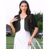 INSPIRE CHIC Women's Collarless Chiffon Bolero Ruffle Short Sleeve Open Front Sheer Cropped Shrug - 4 of 4
