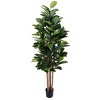 Artificial Rubber Plant - 70-Inch Faux Tree with Natural-Feel Leaves - Realistic Potted Indoor Plant for Office or Home Decor by Pure Garden (Green) - 2 of 4