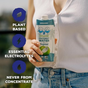 C2O - Coconut Water With Pineapple (6 Pack) - Made With Fresh Coconut Water - 33.8 Fl Oz Pineapple 33.8 Fl Oz (Pack of 6) - 1 of 4