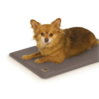 Outdoor heated cheap dog pad