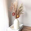 Alilang Pampas Grass Dried Floral Arrangement with Strawflower and Wheat Accents, 17.5 Inches - Khaki - 2 of 4