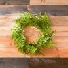 Mixed Fern Grapevine Wreath 24"D - 4 of 4