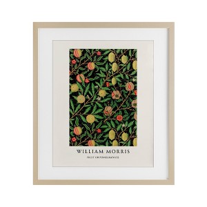 Stupell Industries William Morris Fruit Or Pomegranate Framed Print Under Glass Art - 1 of 4
