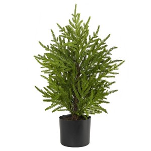 Nearly Natural 2’ Norfolk Island Pine “Natural Look” Artificial ChristmasTree in Decorative Planter - 1 of 1