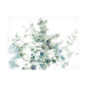 Danhui Nai 'Eucalyptus I Cool' Canvas Art - 1 of 4