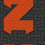 cincinnati bengals