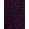 HalloweenCostumes.com Tejano Pop Singer Women's Costume - 4 of 4