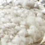 cream, charcoal, gray, tan, ivory, medium gray